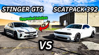 KIA STINGER GT1 CALLS OUT MY SCATPACK CHALLENGER 392 A MUST WATCH RACE [upl. by Hasan]