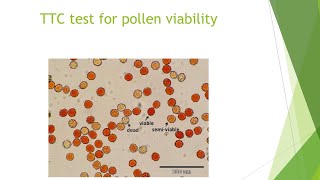 Pollen Viability Tests [upl. by Stanfield]