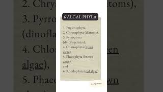 6 ALGAL PHYLA algae [upl. by Knowle]