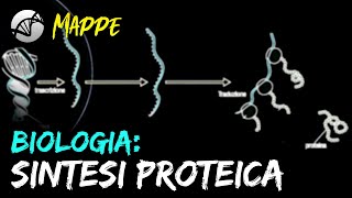 MAPPA Biologia  La Sintesi Proteica [upl. by Aulea]