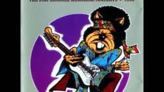 The Hamsters  Roomfull Of Mirrors Jimi Hendrix cover [upl. by Stavro]