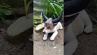 Dog is King👑🥹New Viral Gadgets Smart Appliances Kitchen Utensils Home Inventions shorts viral [upl. by Hnoj]