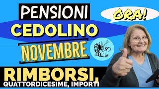 PENSIONI 👉 CEDOLINO NOVEMBRE❗️ RIMBORSI QUATTORDICESIME IMPORTI 🔎 Verifica ora [upl. by Lauber]