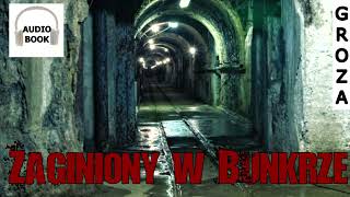 Zaginiony w bunkrze  creepypasta pl audiobook [upl. by Cicenia891]