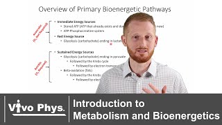 Introduction to Metabolism and Bioenergetics [upl. by Alyag]