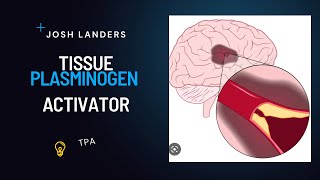 Tissue Plasminogen Activator [upl. by Baudin651]