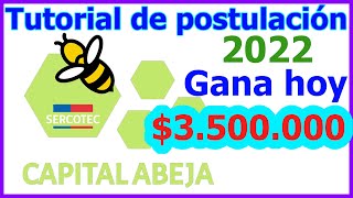 ✔️ Cómo GANAR el CAPITAL ABEJA EMPRENDE 2022 de SERCOTEC  Tutorial de POSTULACIÓN completo 🐝 [upl. by Neryt154]