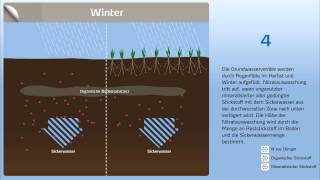 StickstoffVerluste durch NitratAuswaschung vermeiden Teil1 [upl. by Petersen]