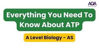 Everything You Need To Know About ATP  AQA ALevel Biology [upl. by Graubert]