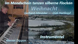 quotIm Mondschein tanzen silberne Flocken quot Instrumentel  Werner Dippon [upl. by Hajin]