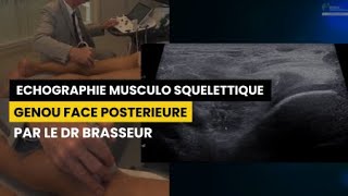 GENOU FACE POSTERIEURE  Echographie Musculo squelettique par le Dr Brasseur [upl. by Luanni]