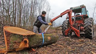 Les surbilles signent la fin du chantier de bois  2022 [upl. by Carley9]