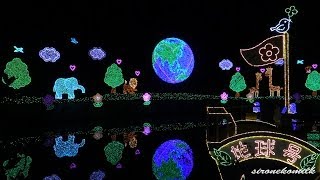 あしかがフラワーパーク Japan Christmas Lights イルミネーション  Ashikaga Flower Park 2013 光の花の庭 日本夜景遺産 Night view [upl. by Wadleigh]