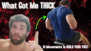 How To Build a THICKER Upper Back What I did [upl. by Ibok]