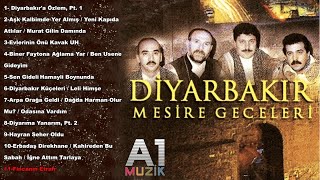 Diyarbakır Mesire Geceleri  Fincanın Etrafı [upl. by Erdnad]