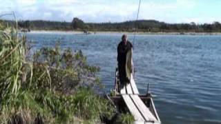 Whitebaiting Hokitika River Trench 09 [upl. by Kaasi]