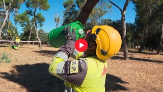 España entre los países con más trabajadores afectados por calor [upl. by Martinic966]