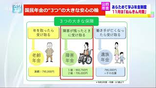 国民年金の加入・免除・受給に関するご案内 [upl. by Atilemrac]