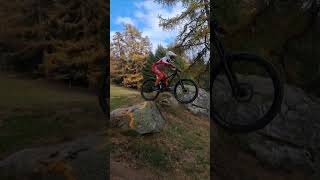 Goldener Herbst im Bikepark Bellwald music rock swissalps downhill jumps [upl. by Nylisoj]