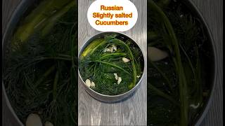 Quick amp Easy 24Hour Russian Slightly Salted Pickles [upl. by Clevey]