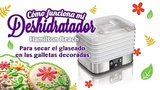 Cómo funciona mi deshidratador de alimentos Para galletas decoradas [upl. by Aon209]