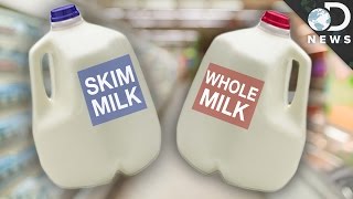 Whole vs Skim Which Milk Is Better For You [upl. by Eleirbag951]