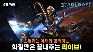 손떨리는 아재의 화질만은 끝내주는 스타크래프트 [upl. by Boelter]