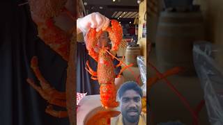 Could you finish an ENTIRE MAINE LOBSTER lobster lasvegas foodchallenge [upl. by Allak]