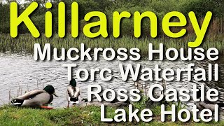 Killarney Ireland excursions to Ross Castle Muckross House Torc Falls Lake Hotel [upl. by Laroc892]