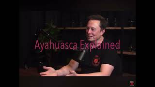 Elon Musk Interviews Lex Fridman Ayahuasca Journey Explained  Insights Sevan Bomar amp Dan Winter [upl. by Oibesue130]