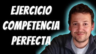 Ejercicio competencia perfecta [upl. by Pejsach]