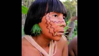 Tribes of the Amazon Rainforest  Yanomami Yekuana and Piaroa [upl. by Ethelbert]