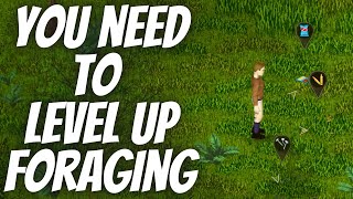 Why You Need to Level Up Foraging in Project Zomboid [upl. by Intisar349]