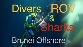 Divers ROV amp Sharks  Brunei offshore Saturation Diving 201819 Kreuz Challenger [upl. by Iclek]