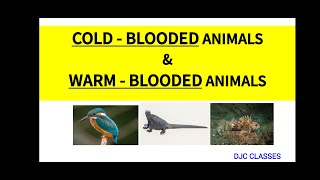 COLD  BLOODED ANIMALS amp WARM  BLOODED ANIMALS  POIKILOTHERMIC ANIMALS  HOMEOTHERMIC ANIMALS [upl. by Gherardi]