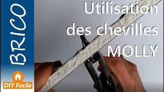 Utilisation des chevilles MOLLY sur mur en placo [upl. by Darees]