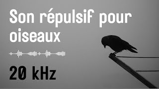 Son répulsif pour oiseaux  pigeons corbeaux étourneaux etc Non compatible avec iPhone [upl. by Irvine]