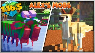 ALEXS MOBS 1165 CANGURUS E CRIATURAS NOVAS DO NETHER  TUTORIAL MINECRAFT MOD 208PT BR [upl. by Armanda]