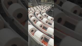 Sofidel factory in Circleville employs hundreds making toilet paper napkins and paper towels [upl. by Hillyer]