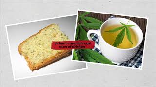 7 dingen die je moet weten over cannabis [upl. by Suirtemed]