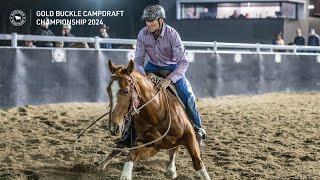 Curious about campdrafting [upl. by Akemit]