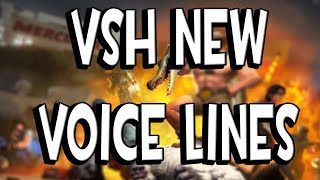 TF2 NEW Mercanary Voice Lines  Summer Update 2023 [upl. by Clova161]