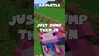 Lets Add Axolotl to the Axolotl Pond in Minecraft Survival 😎😎 shorts [upl. by Hak845]