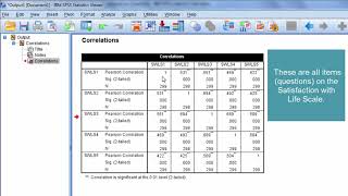 How to Interpret a Correlation Matrix [upl. by Niowtna548]