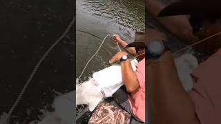 Alligator Fish Jumps In Boat to Attack Fisherman [upl. by Demodena]