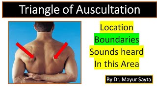 Triangle of Auscultation [upl. by Mayne]