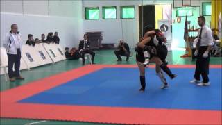 XX campeonato de España de kung fu seleccion de madrid [upl. by Esinrahc]