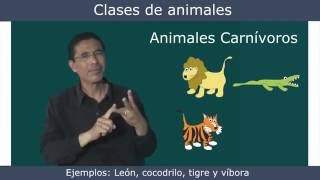 Clases de Animales LSM [upl. by Nugesulo]