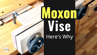 Moxon Vise  Elevate Your Woodworking [upl. by Alinna]