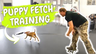 VIZSLA PUPPY TRAINING  Teach Fetch Using Toys and Food [upl. by Ahcrop]